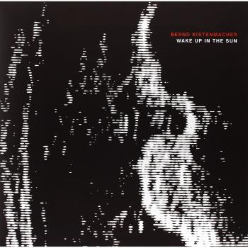 Wake Up In The Sun [VINYL]