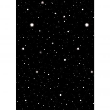 Amscan International Scene Setter Roll Starry Night Hollywood