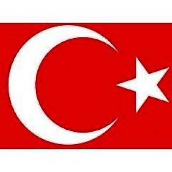 DIPLOMAT-FLAGS Turquía Bandera | Bandera Paisaje | 0.06m² | 20x30cm Banderas de Coche