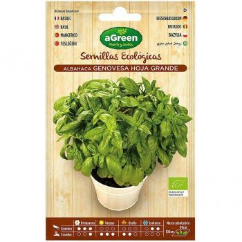 Sobre con semillas eco de albahaca genovesa AGREEN