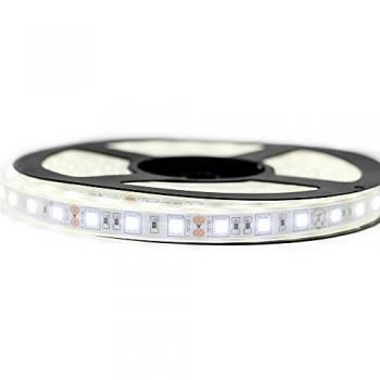 Kit de Cinta LED Profesional 5050 - 60 LEDs/m - 5 o 10 Metros a Elección - Blanco Frío Impermeable (IP67) con Transformador Incluido
