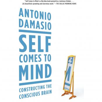 Self Comes to Mind: Constructing the Conscious Brain