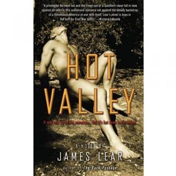 Hot Valley: A Novel