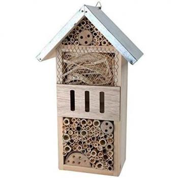 Legler City Break Insects Hotel