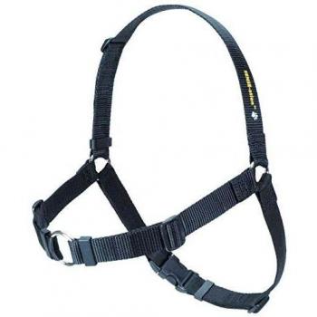 SENSE-ation No-Pull Dog Harness - Large/Wide