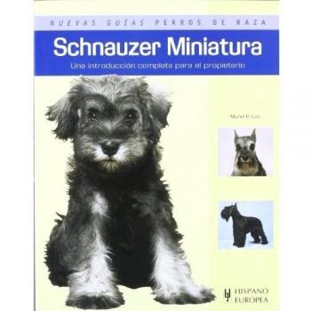 Schnauzer Miniatura