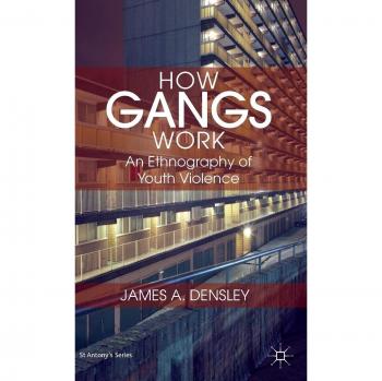 How Gangs Work: An Ethnographic Study of Youth Violence (Hardcover Edition)