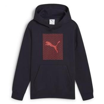 Puma Lab Kids Hoodie - Youth Pullover Sweatshirt with Hood