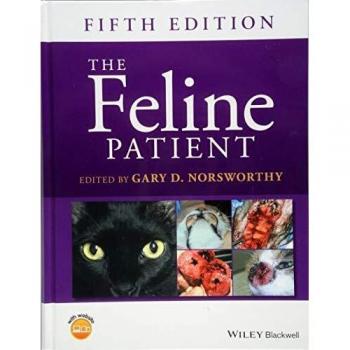 Feline Patient Care: Essential Diagnosis and Treatment Guide