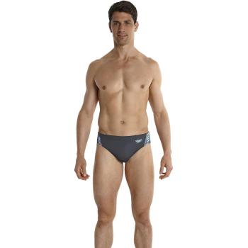 Speedo Monogram Bañador Hombre, Gris