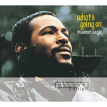 What's Going On - Marvin Gaye