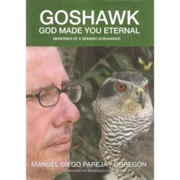 Goshawk: God Made You Eternal Memories of a Spanish Goshawker