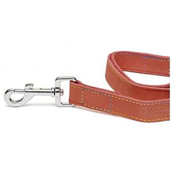 Correa para Perro Gloria Oasis 2.1 x 100 cm Roja