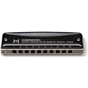 Suzuki HA-20 C Promaster 10-Hole Diatonic Harmonica