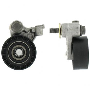 SKF VKM 14220 Kit tensor de distribución
