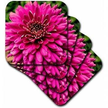 3dRose CST _ 28692 _ 3 Rosa Jenna Dahlia flower-ceramic Azulejos Posavasos, juego de 4