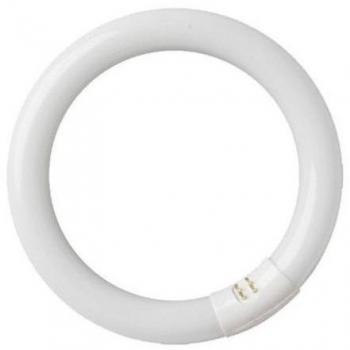 Tubo Fluorescente Circular 22W T9 6400K GSC Evolution