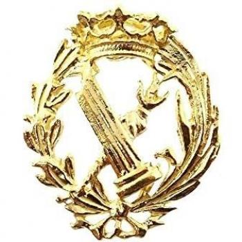 Inmaculada Romero IR Insignia Profesional Filosofía y Letras Escudo Plata 925m Ley 16mm. Pin Chapado