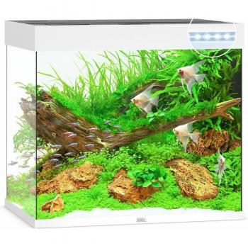 Acuario Juwel Lido LED 200 Blanco con cristal, iluminación LED, capacidad de 200 litros, dimensiones de 60 x 40 x 50 cm