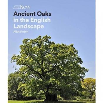 Farjon, A: Ancient Oaks