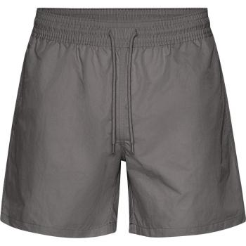 Colorful Standard Classic Storm Grey Swim Shorts for Men