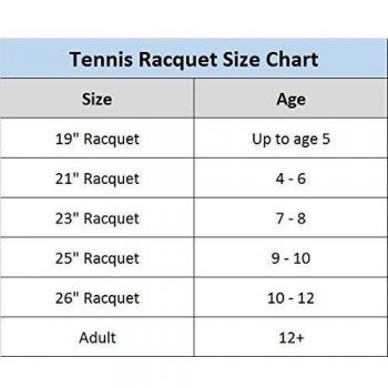 BABOLAT Pure Storm LTD Plus GT