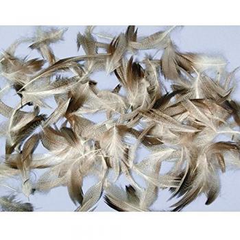 Mezcla de Plumas Pepita 7-9 cm 10 g
