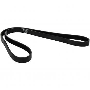 Dayco 5PK1263 correa trapecial poli v