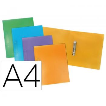 CARPETA LIDERPAPEL 2 ANILLAS 25MM MIXTAS PP A4 COL SURT