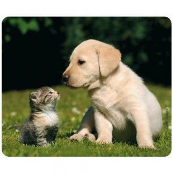 Alfombrilla de ratón con diseño de Best Friends - Gato y perro