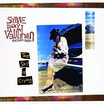 Sky Is Crying [Vinilo]