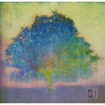 Eric Johnson