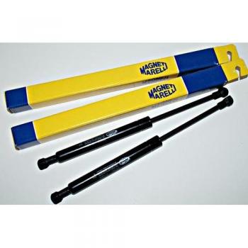 Citroen C4 I 1 Coupe 2004 – 2010 portón trasero maletero Struts Gas Suspensión Levantador X2 Set