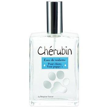 Beaphar Cachorro Premium Cherub Eau de Toilette 50 ml