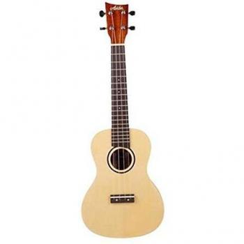 Ashton UKE240SP concert-size ukelele