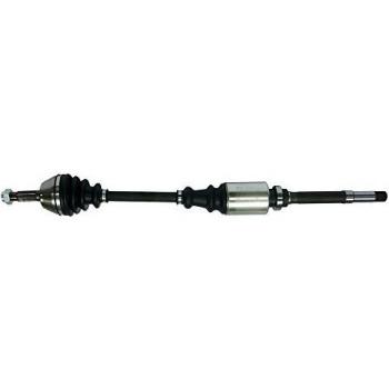 SKF VKJC 4981 Kit de transmisión