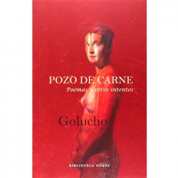 Pozo De Carne: POEMAS Y OTROS INTENTOS