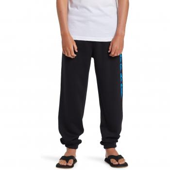 Pantalón Deportivo para Niños Quiksilver Graphic Negro