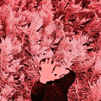 Unborn Capitalist from Limbo - Vinyl LP