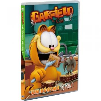 Garfield & Cie - Vol. 16 : Un régime au poil ! [Francia] [DVD]