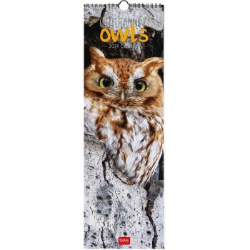 Calendario 2024 de pared con vista mensual de búhos (Outstanding Owls)
