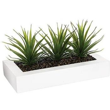 Centro de mesa - 3 Aloe Vera - Altura 17 cm