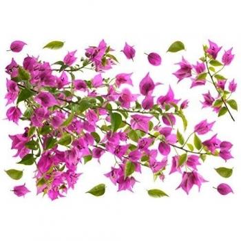 Plage Decoración Mural Adhesiva con Diseño Flores Buganvilla, Vinilo, Rosa, 48x3x68 cm