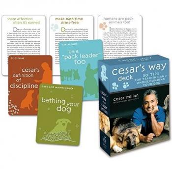 Cesar's Way Deck: 50 Tips for Training and Understanding Your Dog