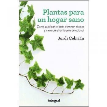 Plantas para un hogar sano: Purifican el aire, eliminan toxinas y mejoran el ambiente emocional