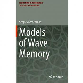 Models of Wave Memory