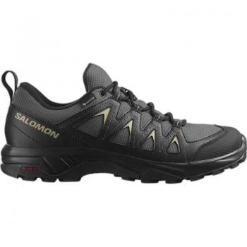 Salomon X Braze GTX Men's Mountain Running Shoes Gray/Black