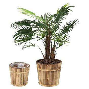 Pack de Macetas de Madera Natural, 2 Tamaños (Ø24 y 19 cm), Tiestos para Flores e Interior/Exterior, Forro de Plástico, Set de 2 Unidades