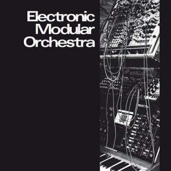 Modular Electronic Orchestra Vinyl Set (2LP)