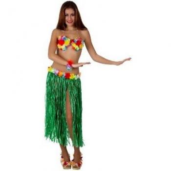 Atosa-16686 Atosa-16686-Accesorio-Falda Larga Hawaiana Con Top Y Accessorios Verde, color, TALLA ÚNICA